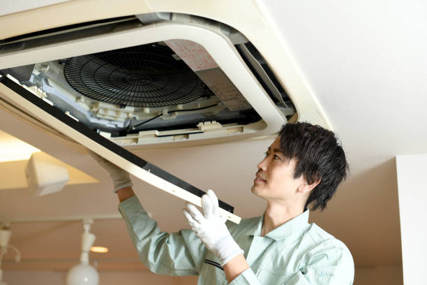Air Duct Mold Removal in New London, WI